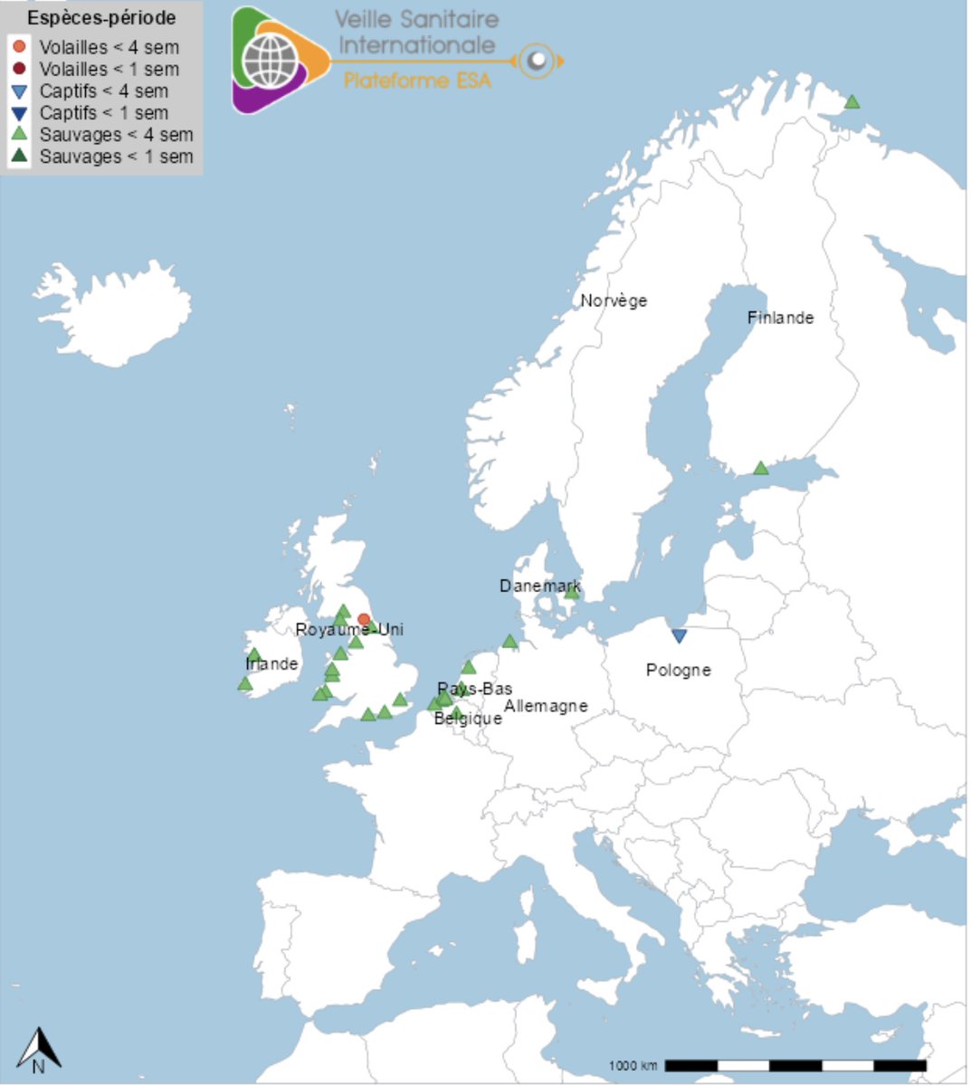 🇪🇺🐣 #Influenza aviaire en Europe : la localisation des cas ou foyers #AHP H5 en avifaune  sauvage,  chez  les  oiseaux  captifs  et  chez  les volailles,  en  Europe  détectés  en juin jusqu'au 23/06
via #ESA