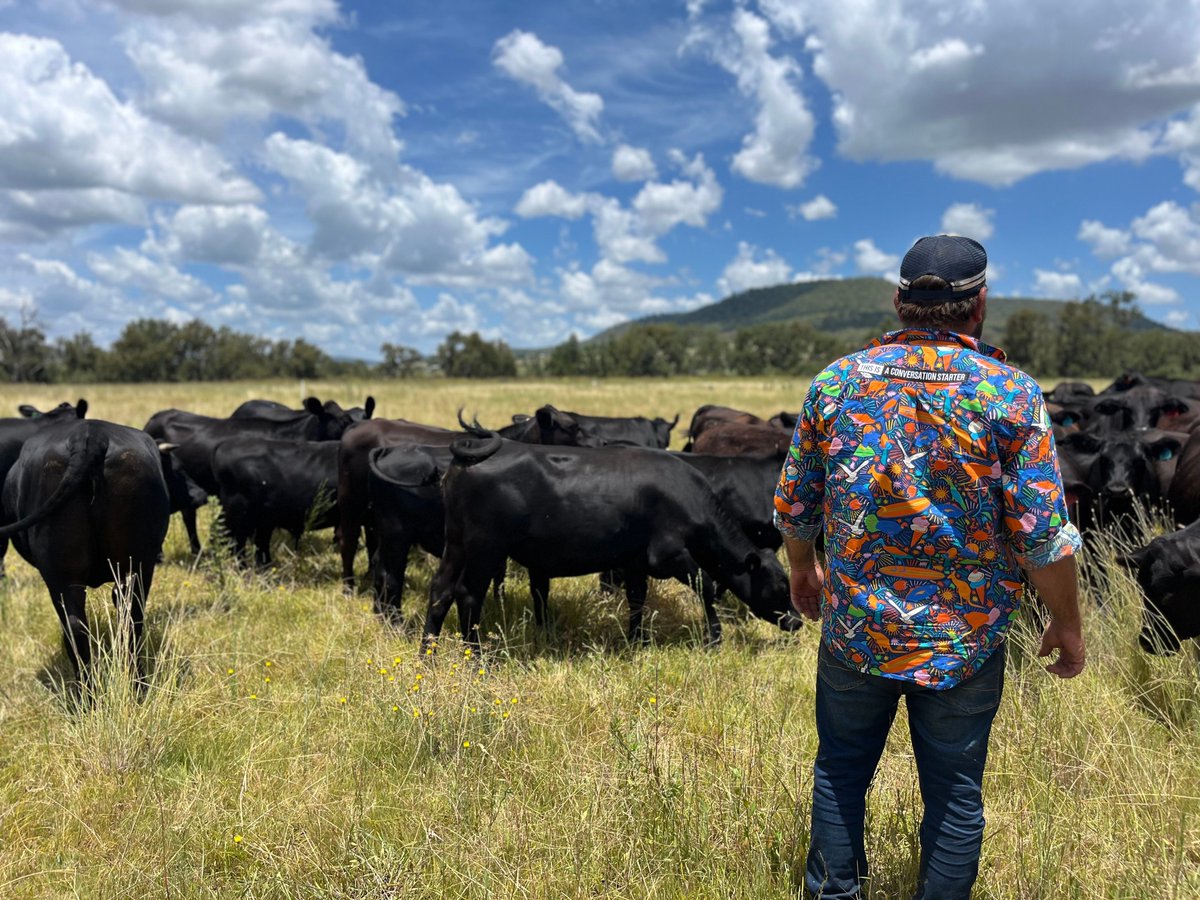 A reverence for Aboriginal knowledge has helped the Breen family appreciate the Githabul land they call home.  Now, their local food system is thriving, and seeds that have sat dormant for decades are now sprouting on the Goomburra Valley farm. More: buff.ly/N5MFXCX