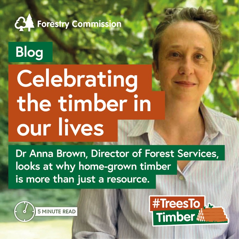 ForestryComm's tweet photo. Thanks to everyone who joined in with our #TreesToTimber campaign. We've loved bringing you advice and inspiration on the benefits of homegrown timber.

You can search all the resources using #TreesToTimber and scroll through some of our highlights below ⬇️.