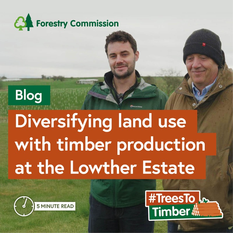 ForestryComm's tweet photo. Thanks to everyone who joined in with our #TreesToTimber campaign. We've loved bringing you advice and inspiration on the benefits of homegrown timber.

You can search all the resources using #TreesToTimber and scroll through some of our highlights below ⬇️.