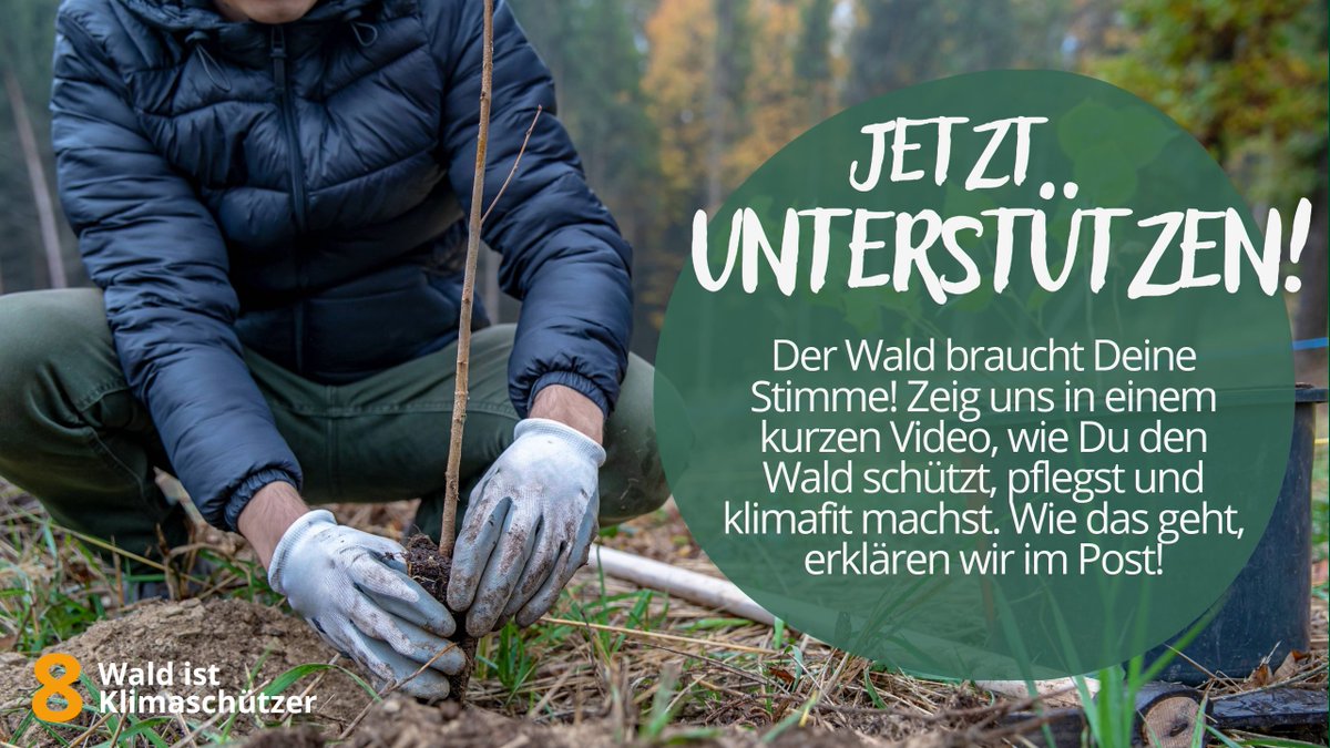 🎥 Wald braucht Unterstützung – &amp; Deine Stimme! 🌳💬 Du pflanzt, pflegst, bewirtschaftest? Dann zeig uns per Handyvideo, was Waldarbeit heute bedeutet. Wir machen Dein Engagement sichtbar! Mehr: wald-ist-klimaschuetzer.de/mitmachen
