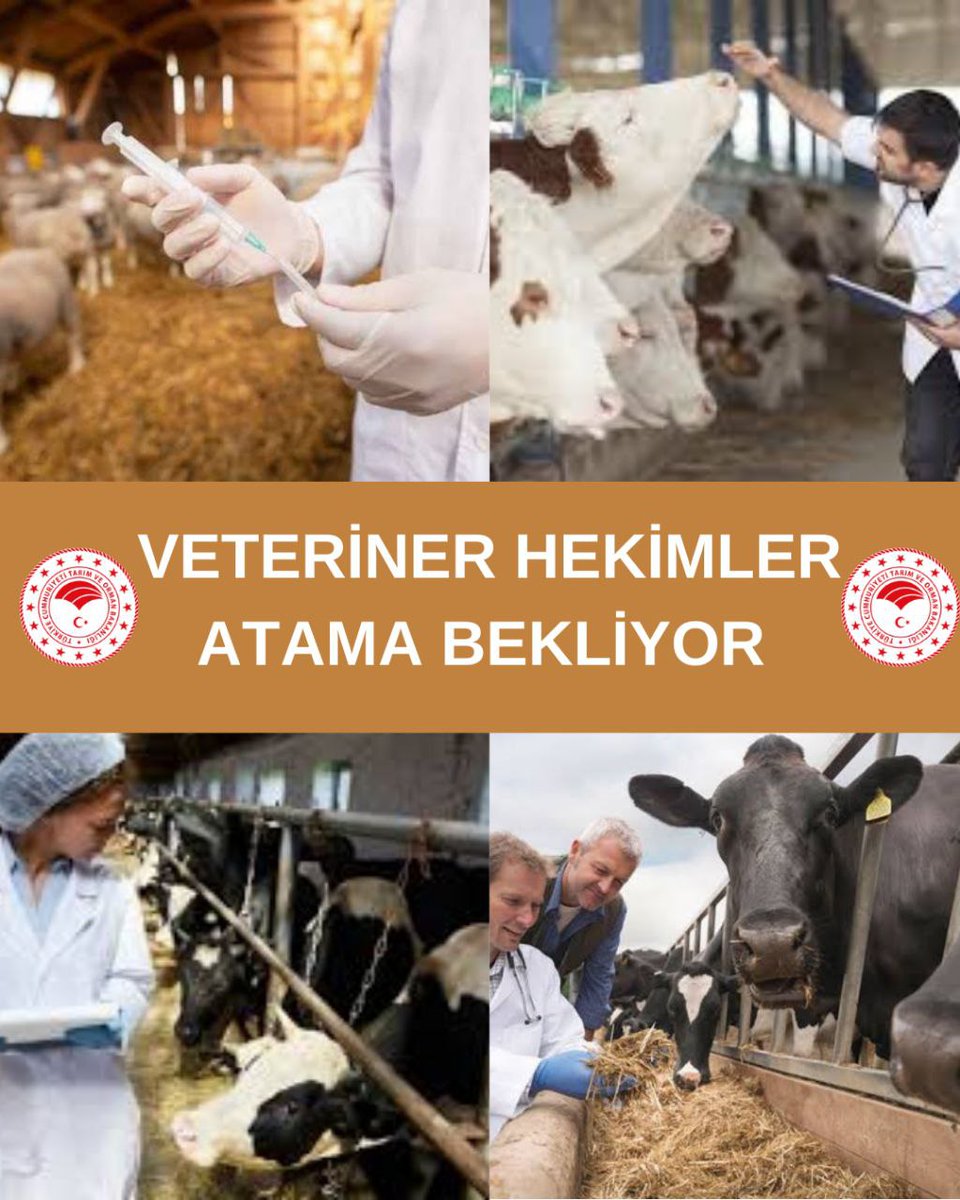 <a href="/TCTarim/">T.C. Tarım ve Orman Bakanlığı</a> #VeterinerHekimlere5000atama 
#veterinerhekimleratamabekliyor 
<a href="/TCTarim/">T.C. Tarım ve Orman Bakanlığı</a> <a href="/ibrahimyumakli/">İbrahim Yumaklı</a>