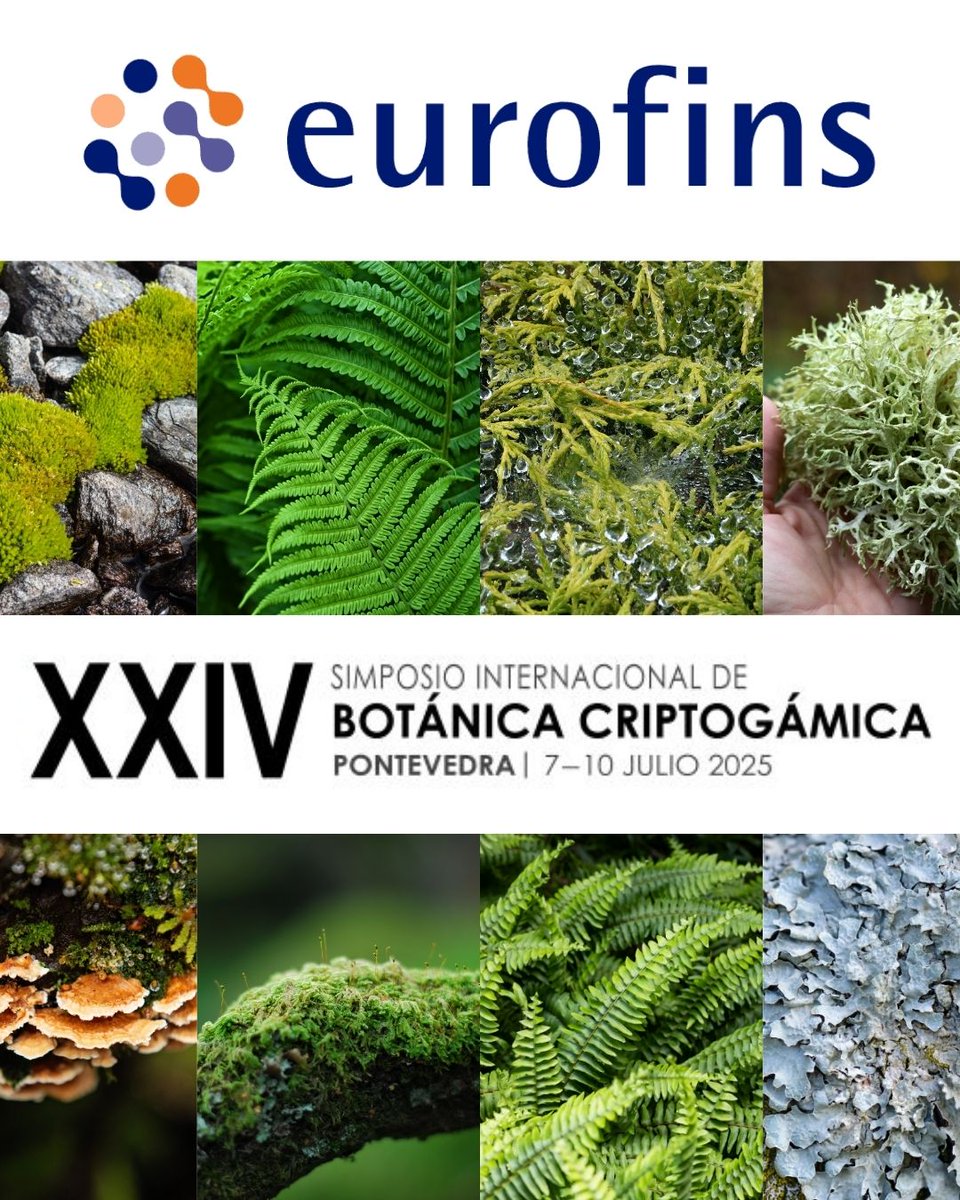 .<a href="/eurofins_spain/">Eurofins Environment Spain</a>, ¡Patrocinador del XXIV Simposio Internacional de Botánica Criptogámica (<a href="/24ISCB/">XXIV International Symposium of Cryptogamic Botany</a>) ! 

Pero, ¿qué es la botánica criptogámica? Se trata del estudio de las plantas que no producen flores ni semillas, como musgos, helechos, algas...

eurofins-environment.es/events/simposi…

(1/6)