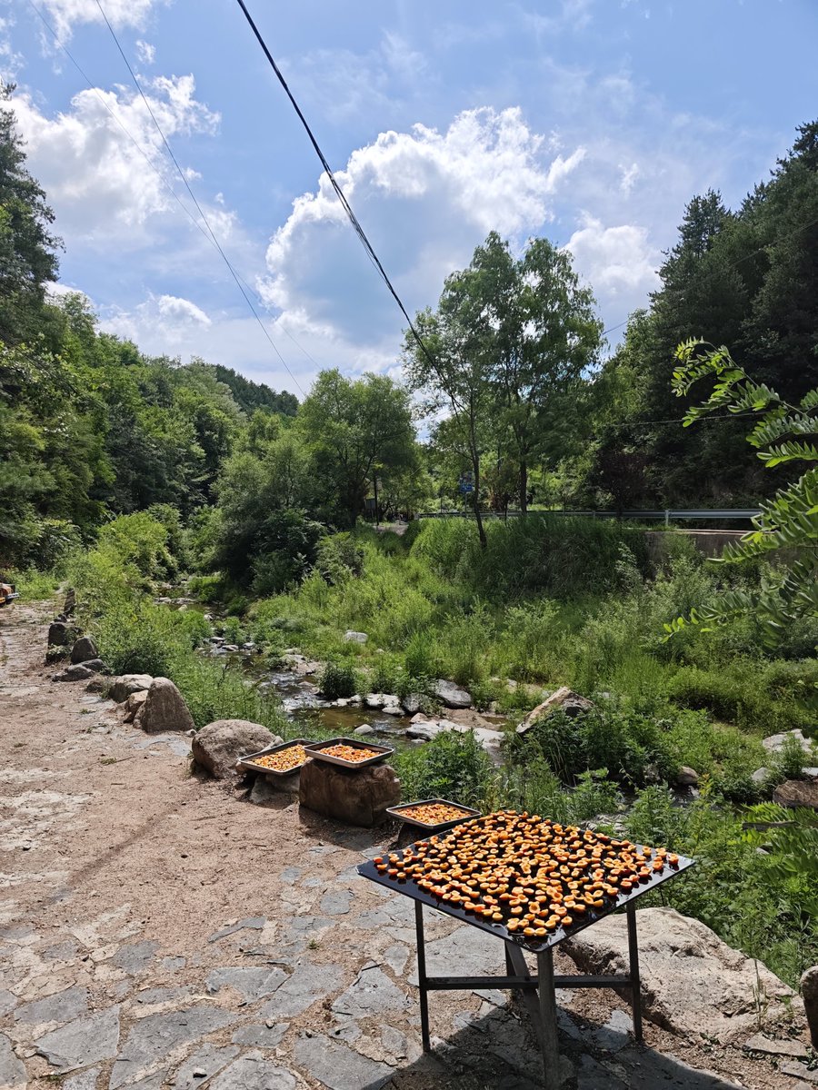 litang0908 (@litang0908) on Twitter photo 