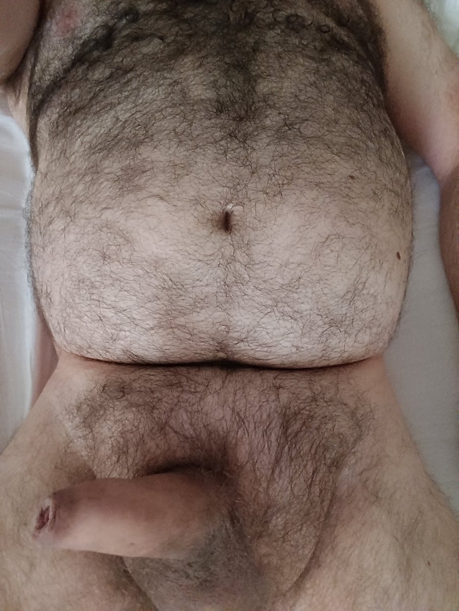#orso  #bear #cazzo