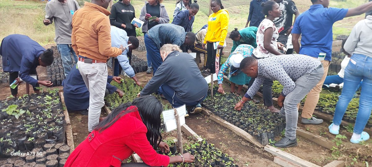 🌿 On July 1, the #KENAFF Nakuru team held an #IPDM training with youth &amp; agri students from Egerton University &amp; Rift Valley Institute.

Focus: eco-friendly pest control &amp; climate-smart practices! 🌱📚
#YouthInAg #GreenFarming #ClimateAction #KENAFFInAction