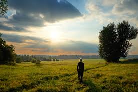 stecacMD's tweet image. Have you ever found yourself unsure how to respond when a patient shares a vivid dream or vision near the end of life?
These experiences, striking, emotional, often misunderstood, are more common than we think, yet rarely addressed in training or clinical guidelines.
I just…