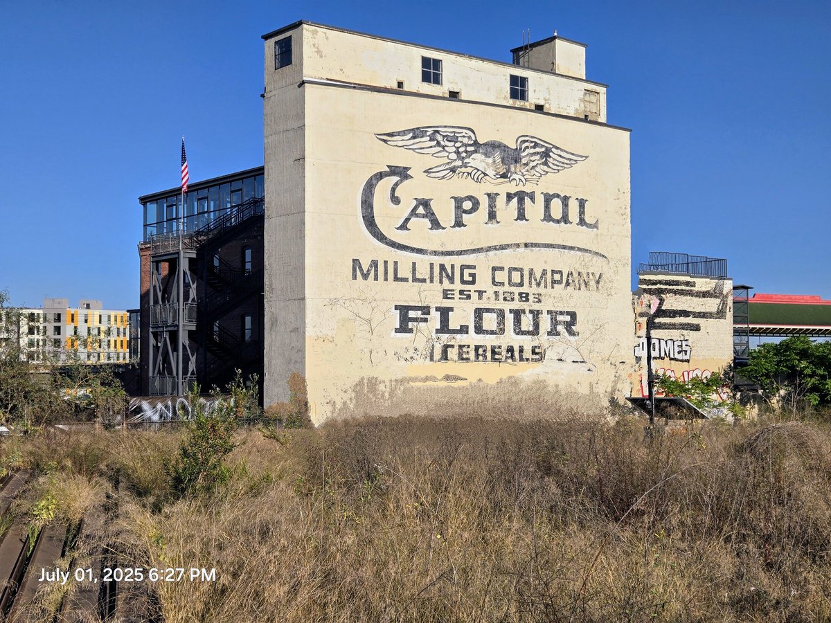 The Real Ace Ventura🇺🇸 (@iamrealventura) on Twitter photo 