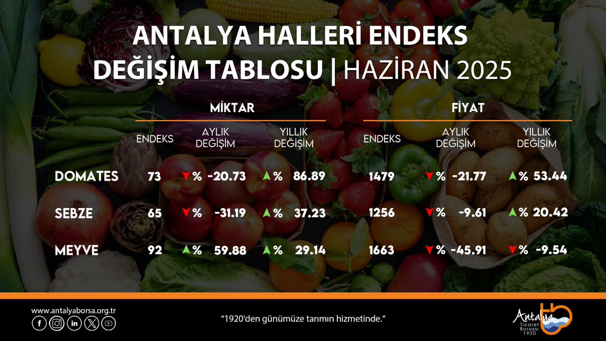 📈DOMATES, YAŞ SEBZE MEYVE ENDEKSLERİ, HAZİRAN 2025 /AYLIK
 📌DOMATES miktar endeksi aylık %20,73, fiyat endeksi %21,77 azaldı.                  
📌SEBZE miktar endeksi aylık %31,19, fiyat endeksi %9.61 azaldı.
 📌MEYVE miktar endeksi aylık %59,88 arttı, fiyat endeksi %45,91