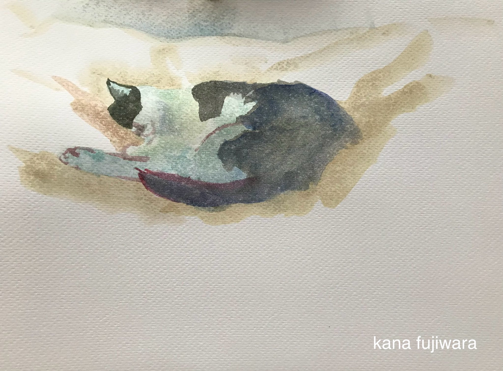 藤原香奈 水彩画 Kana Fujiwara on X: 