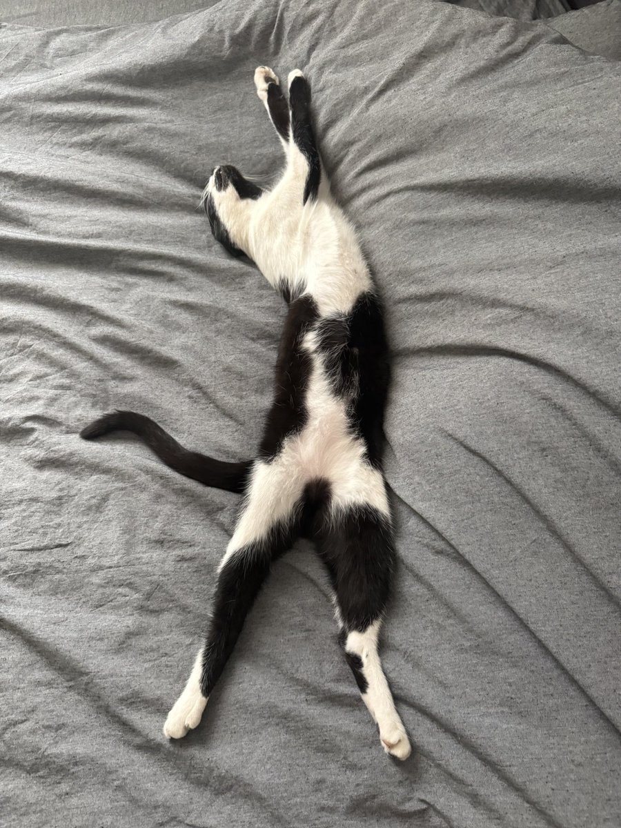 İç istemem çalışayım,
Ep isterim yatayım..