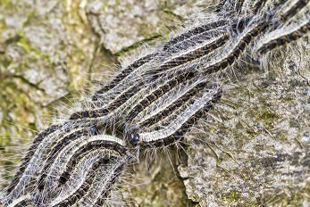 ngagolf.nl/2025/06/25/eik…