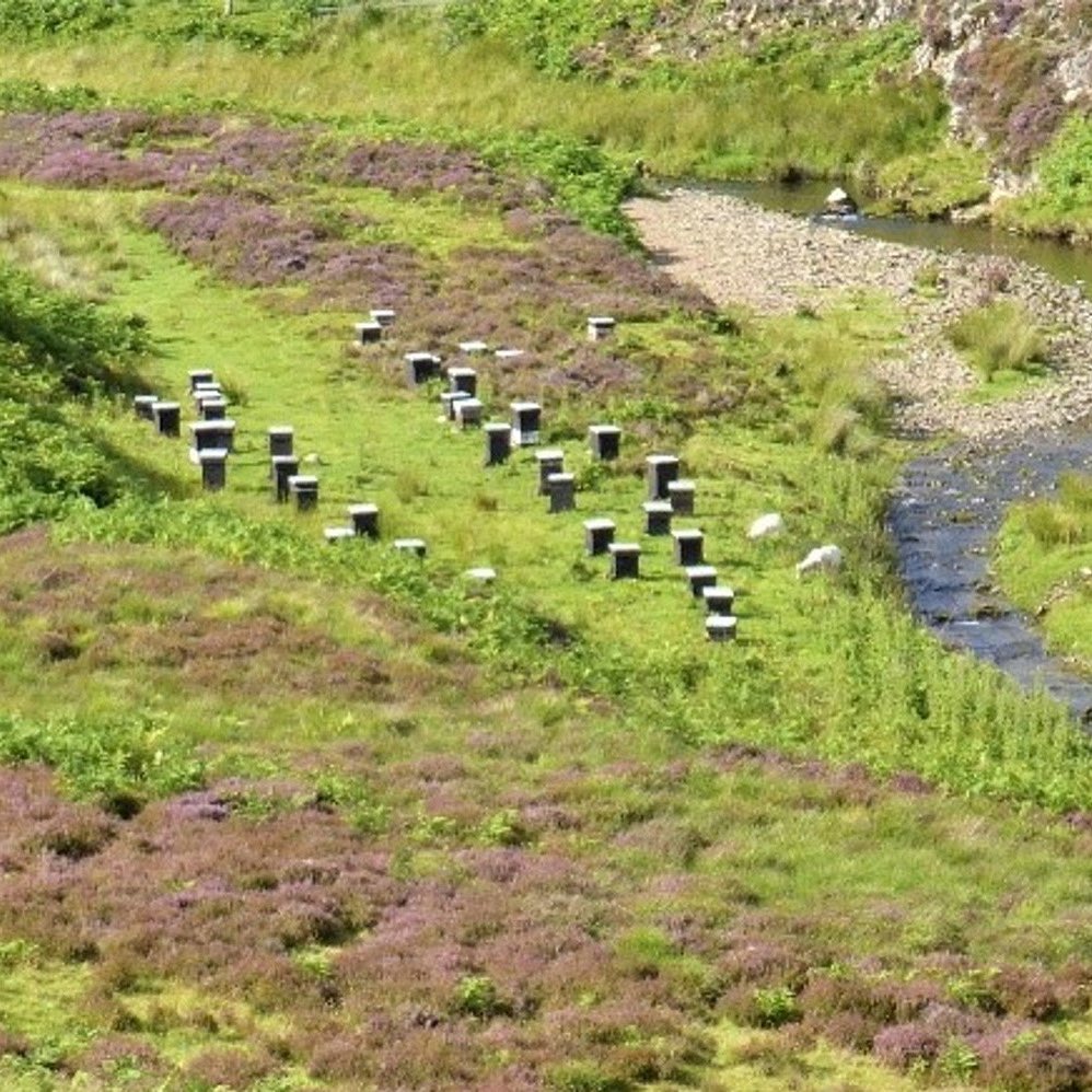 Scotbeekeepers's tweet photo. Moving #bees to heather?
Help control spread of #honeybee #diseases by ensuring:
- all your #apiaries incl. heather sites are registered on BeeBase with info on apiary location, no. of colonies & contact info. Any apiaries not used mark as non-current
https://t.co/QJO2aZFnYk https://t.co/tsZd7cxfdB
