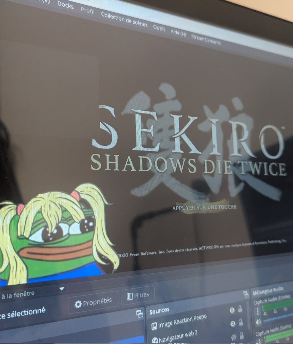 🌻 Le retour de PeepoKao pour #Sekiro 

Twitch.tv/KAOsvmd