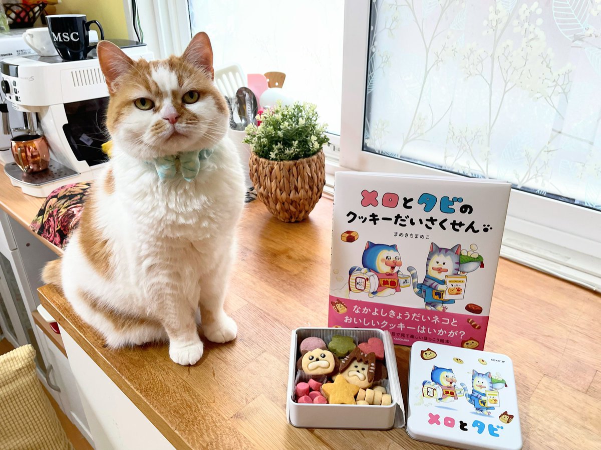 チャコ tweet media