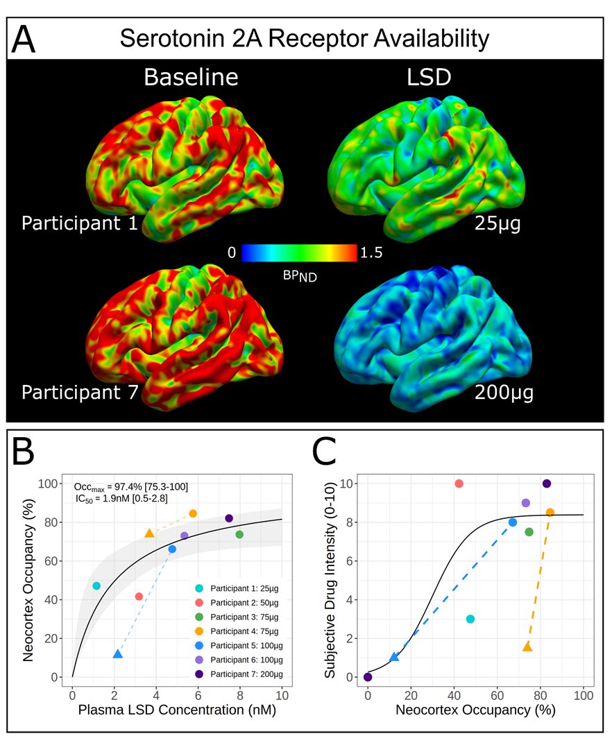 2/ Key finding: LSD shows extremely high affinity for serotonin 2A receptors - IC50 of 1.93 nM with near-complete occupancy (97%) at clinical doses. We also showed maximal occupancy from only 75 mcg, indicating any differences in effect above this are due to off-target effects.