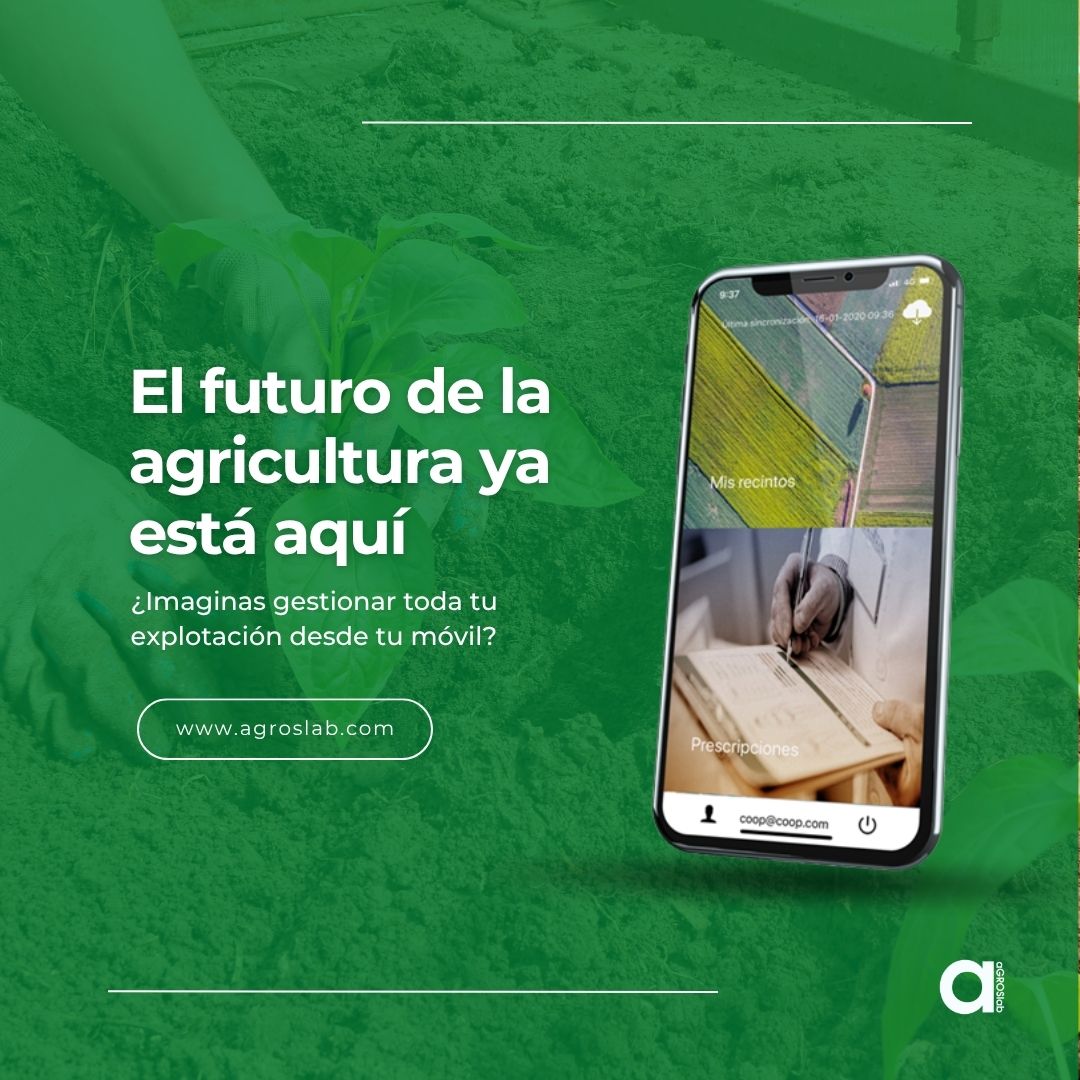 ¿Imaginas gestionar toda tu explotación desde tu móvil? Con aGROslab y el Kit Digital es posible:
📱 App móvil para campo
📊 Reportes automáticos
📋 Cuaderno digital oficial
🌿 Agricultura 4.0
Más info en 👉 /www.7edata.com/kitdigital/kit-digital-agroalimentario/