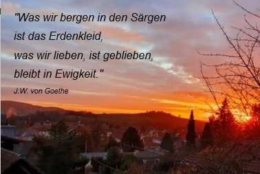 AllyTroublesome's tweet photo. @Minarella__ Lieben Dank fürs posten. 🫂 Unsere Sternenkinder verdienen es, gesehen zu werden. Denn sie wurden und werden geliebt. Deine kleine Maus ist perfekt und sie wird für immer in deinem Herzen wohnen. https://t.co/MQGDl4Mjbu