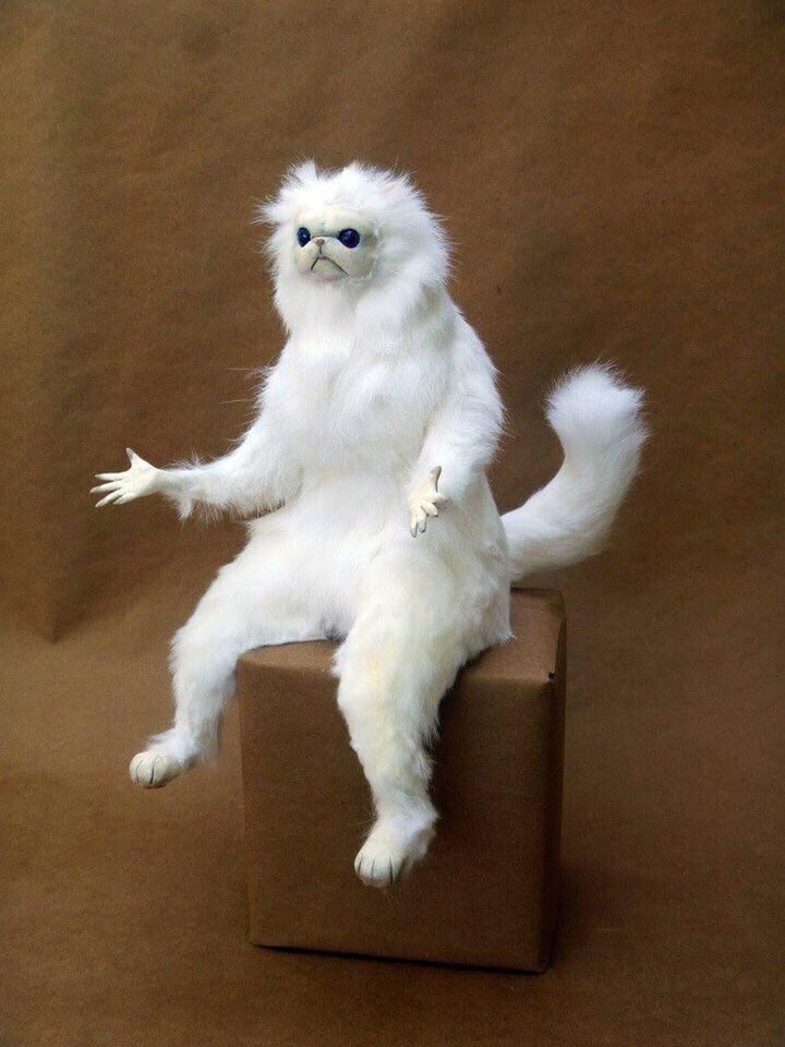CrapTaxidermy's tweet image. When you're giving somebody advice but you end it with; "but its up to you really" just in case it ruins their life...
