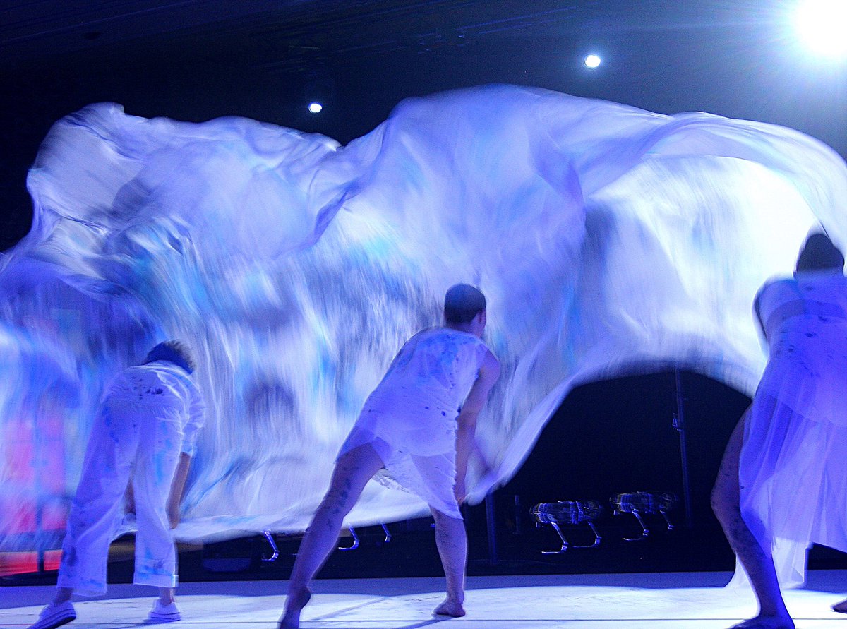 anna mangot disseny tweet media