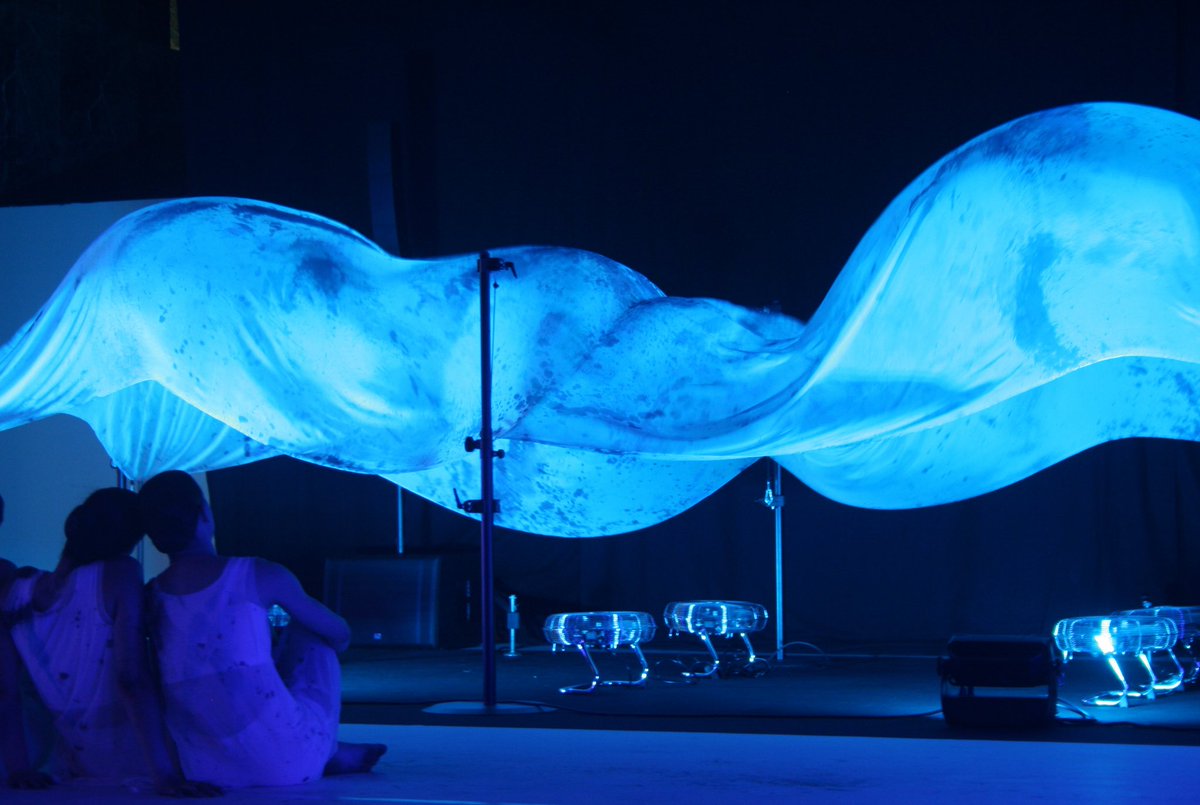 anna mangot disseny tweet media