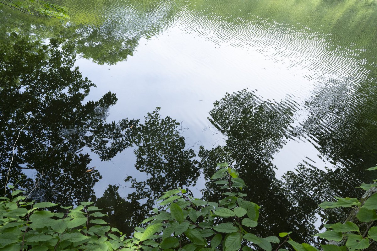 Although the surface of the water simply reflects the actual scenery as it is, it also feels as if a different something exists there.