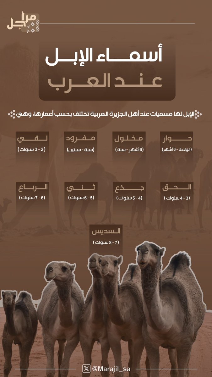 Marajil_sa's tweet photo. أسماء الإبل🐪 عند العرب تختلف بحسب أعمارها
في #مراجل نعطيك العلم

وهذا #علمنا_وسلامتكم https://t.co/7tbWt5F4MO