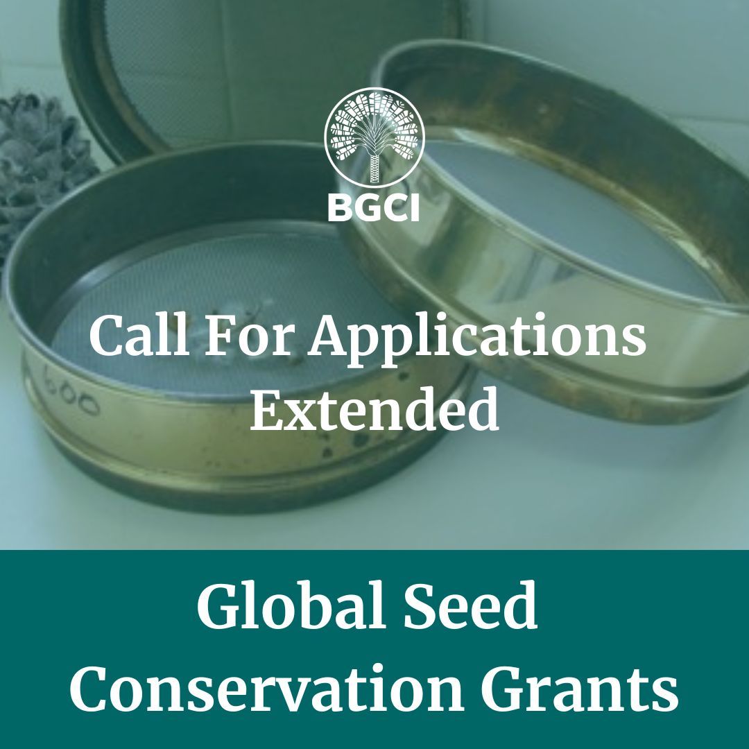 bgci's tweet image. The call for applications for the Global Seed Conservation Grants via BGCI&apos;s Global Botanic Garden Fund (GBGF) has been extended for two weeks! The call for applications will remain open until 5 pm UK time, Friday 11 July 2025. 
 
For more info buff.ly/5y11Nds
