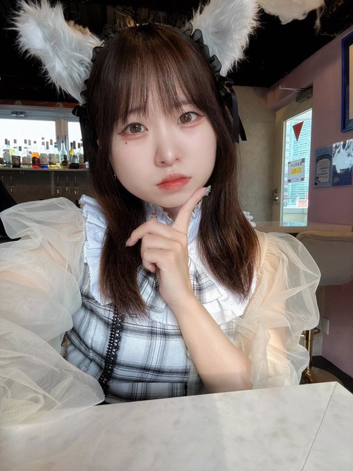 Cafe＆Bar けもみみのツイート