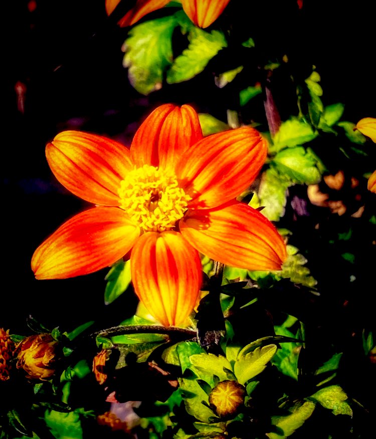 G☀️☀️d morning &amp; happy Wednesday ☕️

Thankfully it’s slightly cooler today. The last few days have been awful 🔥