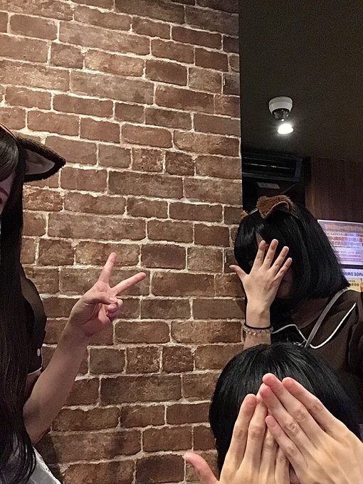 ミケカフェ広島店のツイート