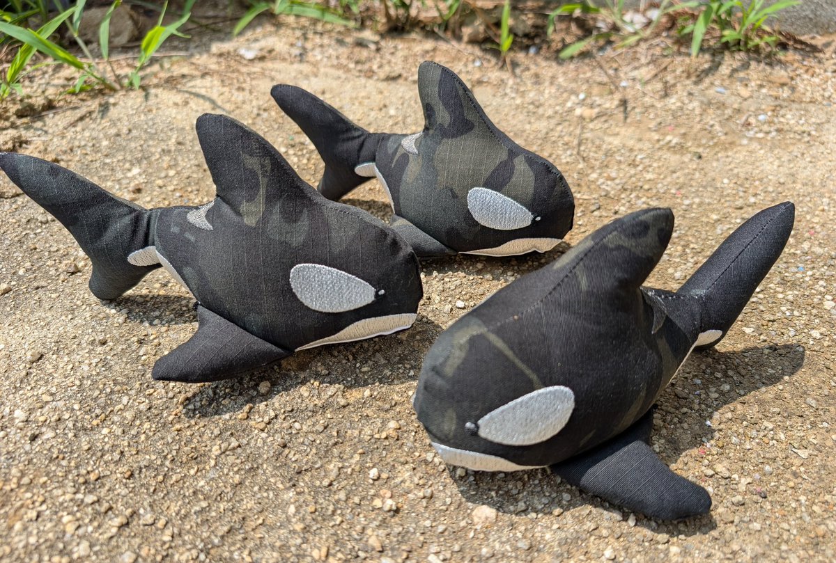 フカヒレ商会🦈⏩️4/12 爆裂祭 tweet media