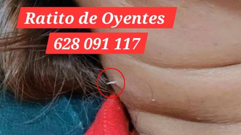 Se traga una espina de pescado… ¡y acaba saliéndole por el cuello! 😱

A las 11 en #RatitoDeOyentes hablamos de esa 'espinita' que todavía tienes clavada

📲 628 091 117

🎧  <a href="/ElydValle/">Ely del Valle</a> <a href="/ondamadrid/">Onda Madrid</a>