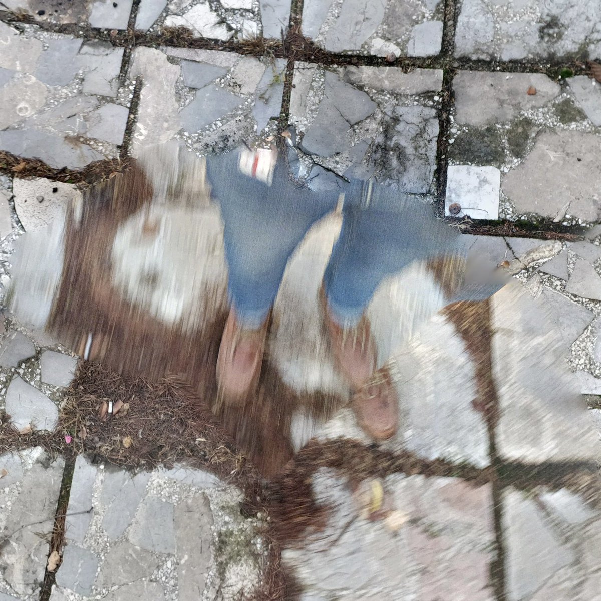 GM friends 🥾🇬🇪