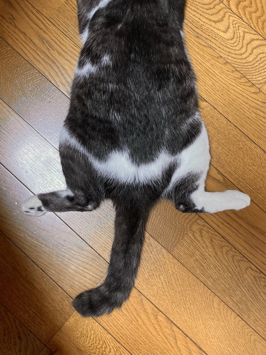 開脚