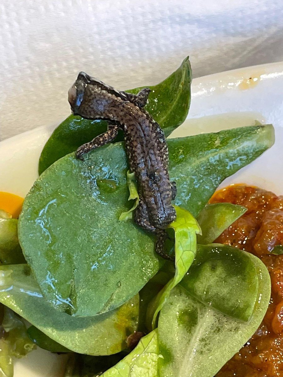 yemekhanede çıkana bak amk

Yıllık 20+ milyar dolar ciro yapan şirket ha