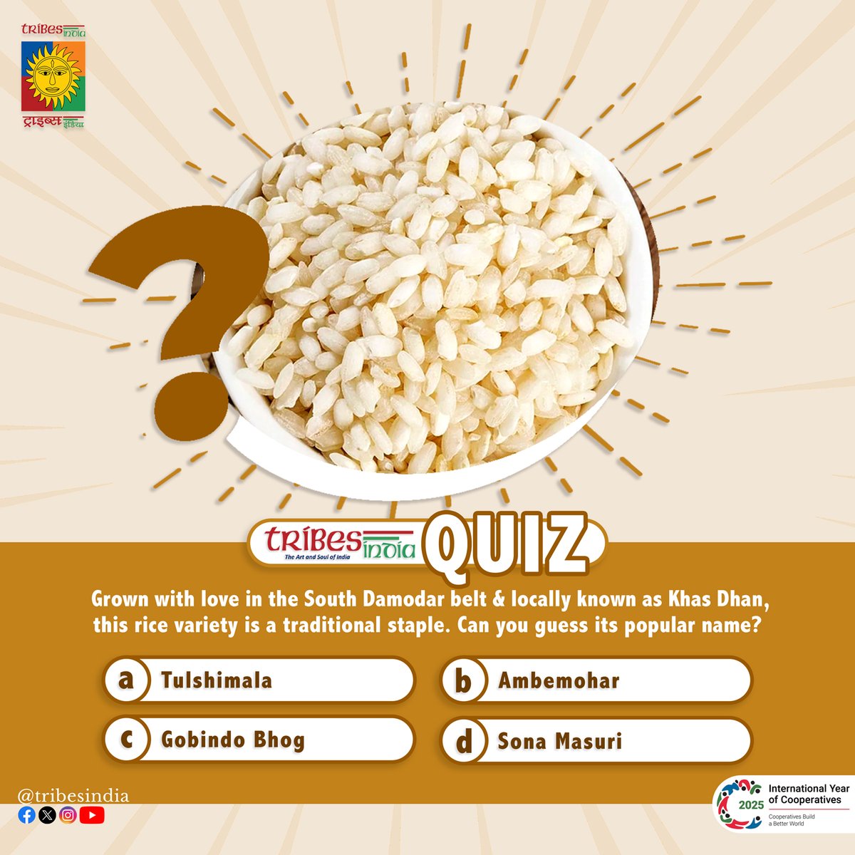 Grown with love in the South Damodar belt &amp; locally known as Khas Dhan, this rice variety is a traditional staple.

Can you guess its popular name?
a) Tulshimala
b) Ambemohar
c) Gobindo Bhog
d) Sona Masuri

#Vocal4Local #BuyTribal #TribesIndia #RiceHeritage #TribalHarvest