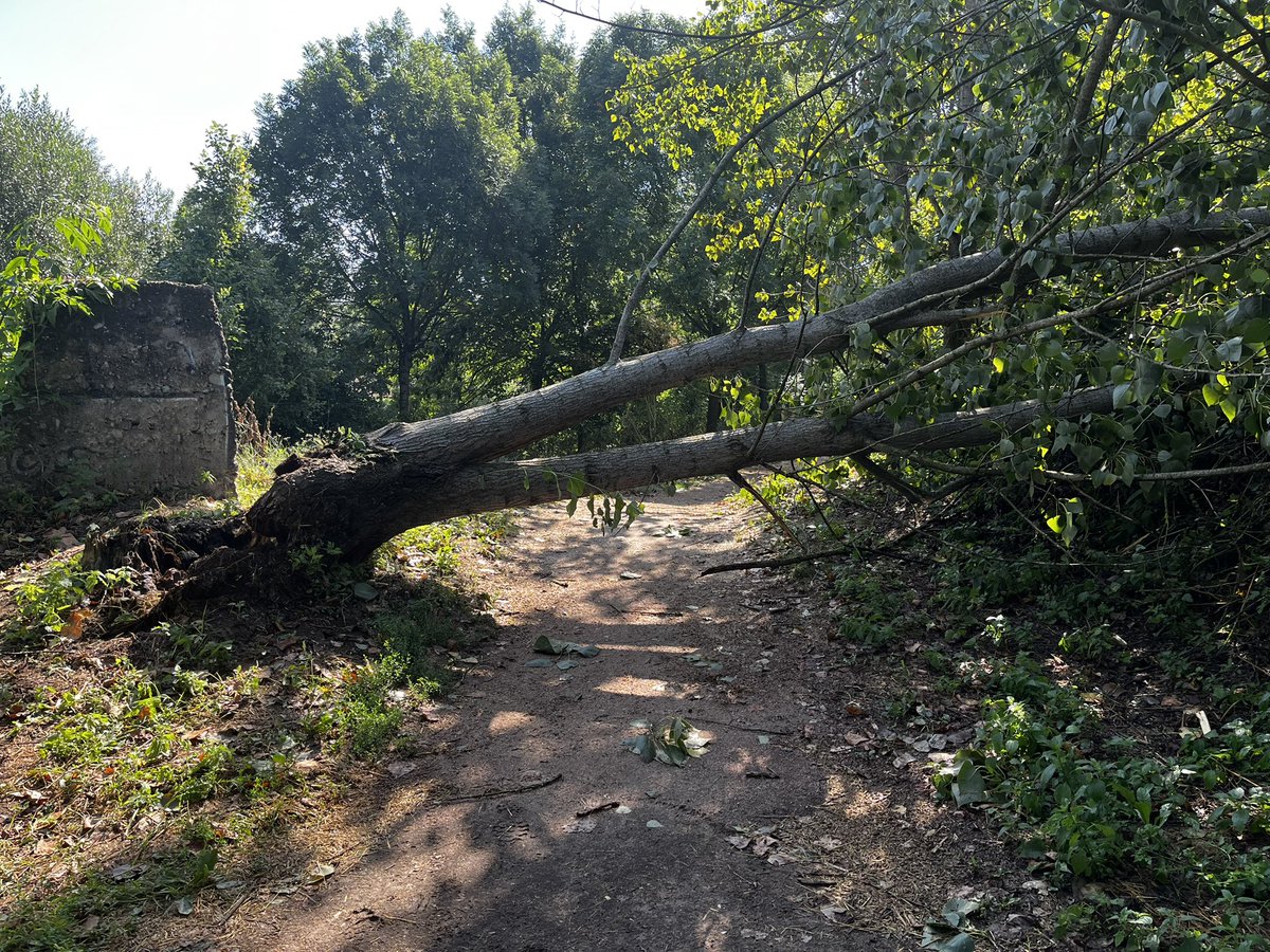 Sebastià Bardolet tweet media