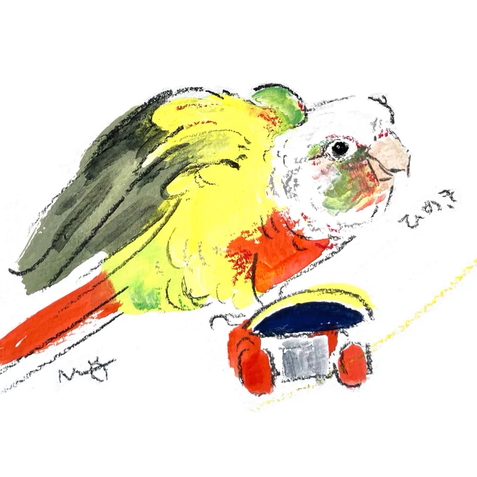 #小鳥ガーデン オーダーイラスト スケボーが得意なウロコインコさんです