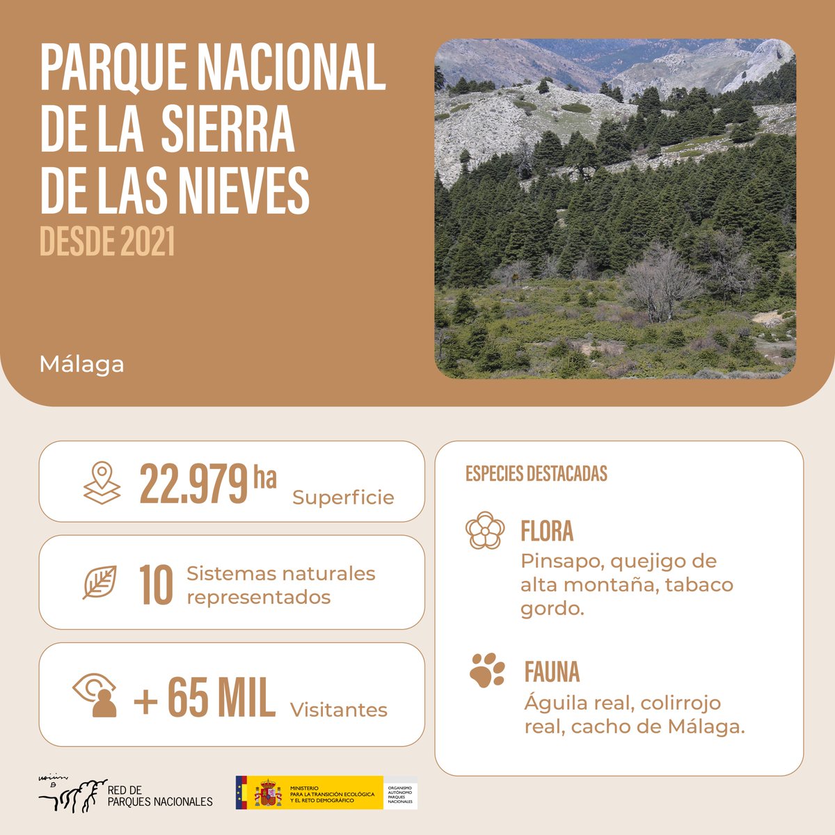 oapngob's tweet image. 🎂 Ayer también fue el cumple del benjamín de la Red: ¡el Parque Nacional de la Sierra de las Nieves ya tiene 4 años!
🌲 Destacan los pinsapares, únicos en nuestro país.
🦌🦇🪶 Y su fauna: cabra montés, murciélagos y muchas aves.
Felicidades!
