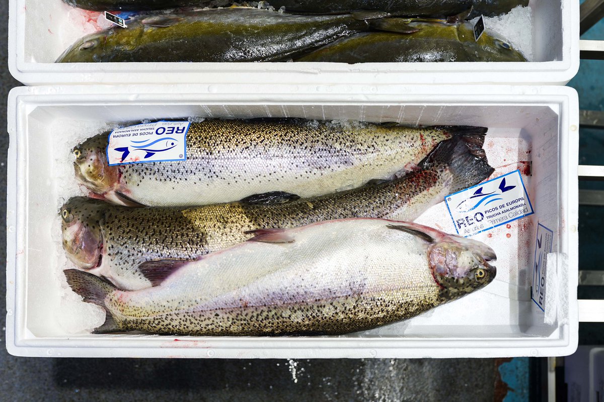mercamadrid_hoy's tweet photo. 🆙3 de cada 4 productos frescos comercializados 🛒 en la principal plataforma de distribución alimentaria de España son de origen nacional: las hortalizas provienen principalmente del sur ☀️, las frutas, del arco mediterráneo 🌊 el pescado y marisco, del norte ⚓️ y las carnes, del centro de la Península 📍

📲 https://t.co/9KAKhE50hW