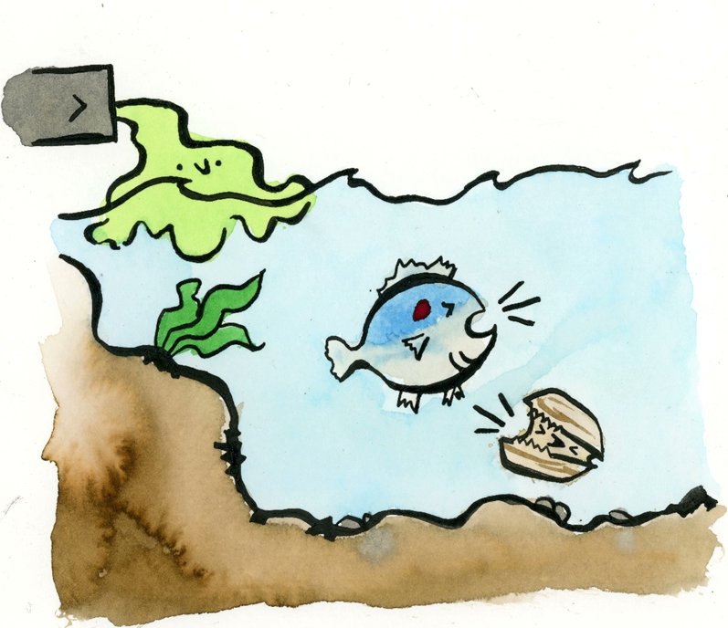 ExFuMo1's tweet image. 📢Research waste in ecology... a new on our blog 1url.cz/cJqmE
"Research waste in ecology is not only used paper bags , but also poorly planned, conducted or reported research, the results of which are not traceable, usable, or understandable..."
#GoBelowground #ExFuMo
