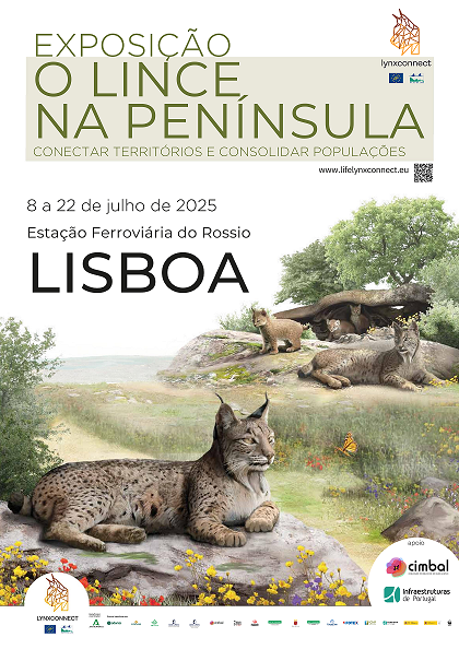 Life Lynxconnect tweet media