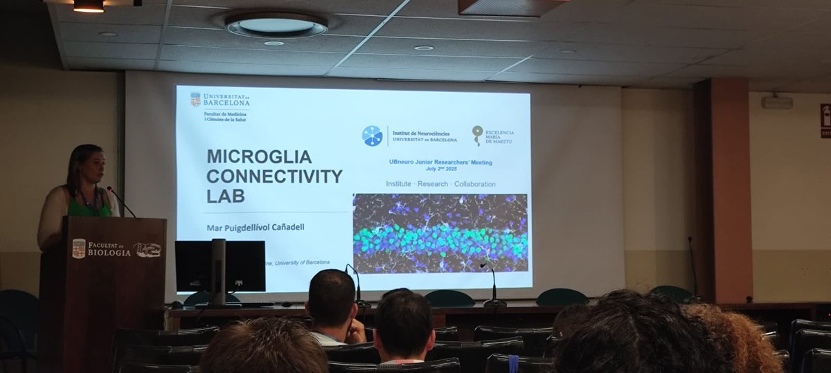 UBneuroscience's tweet image. 🔬 Mar Puigdellivol (Microglia Connectivity Lab) dives into how microglial networks contribute to brain health and disease. Fascinating insights on cellular communication in the brain.