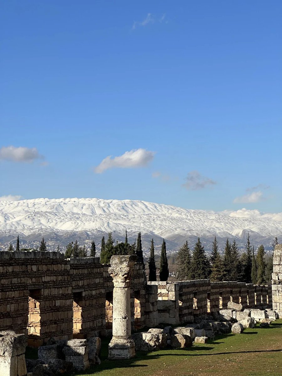 #صباح_الخير 

نهاركن سعيد يا أهل الخير

#لبنان سحر الجمال 🇱🇧💝