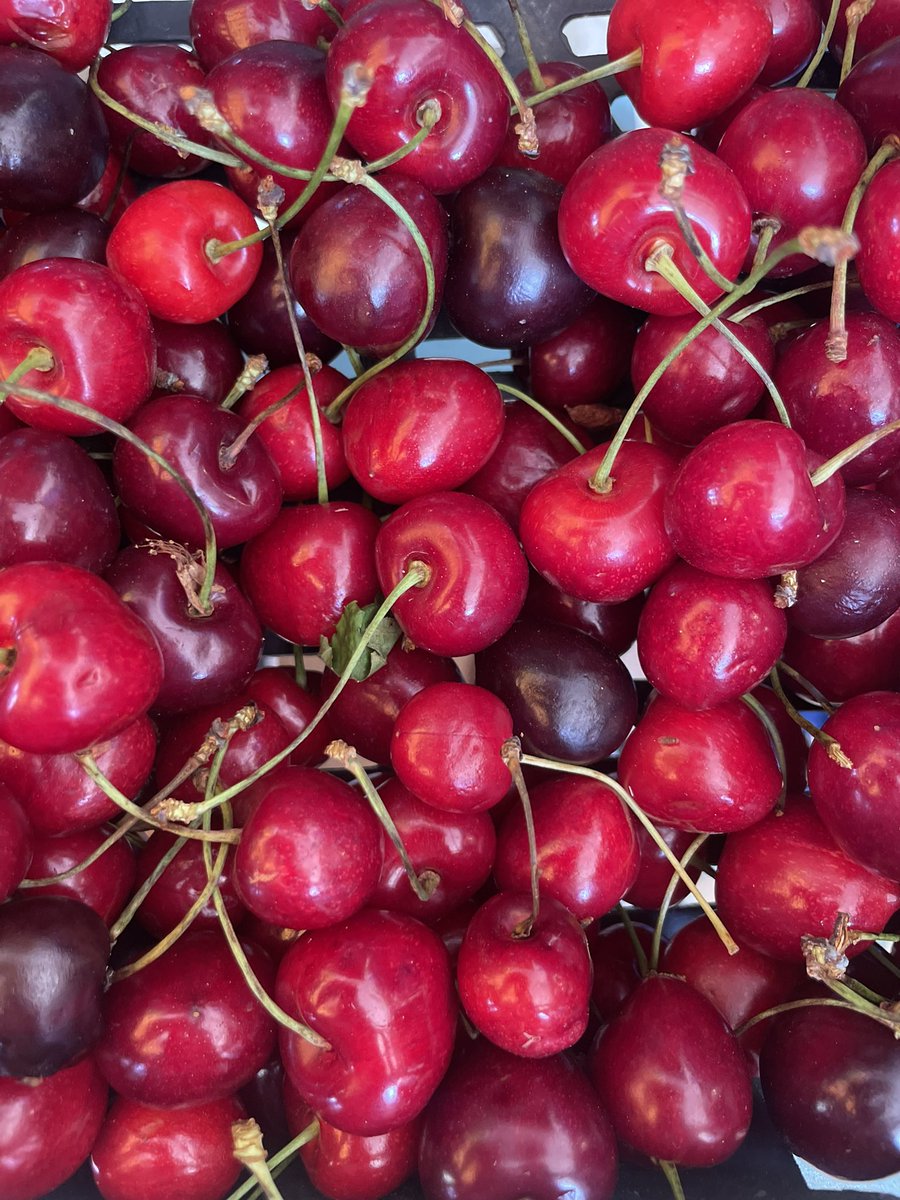 Nensi Coseani tweet media