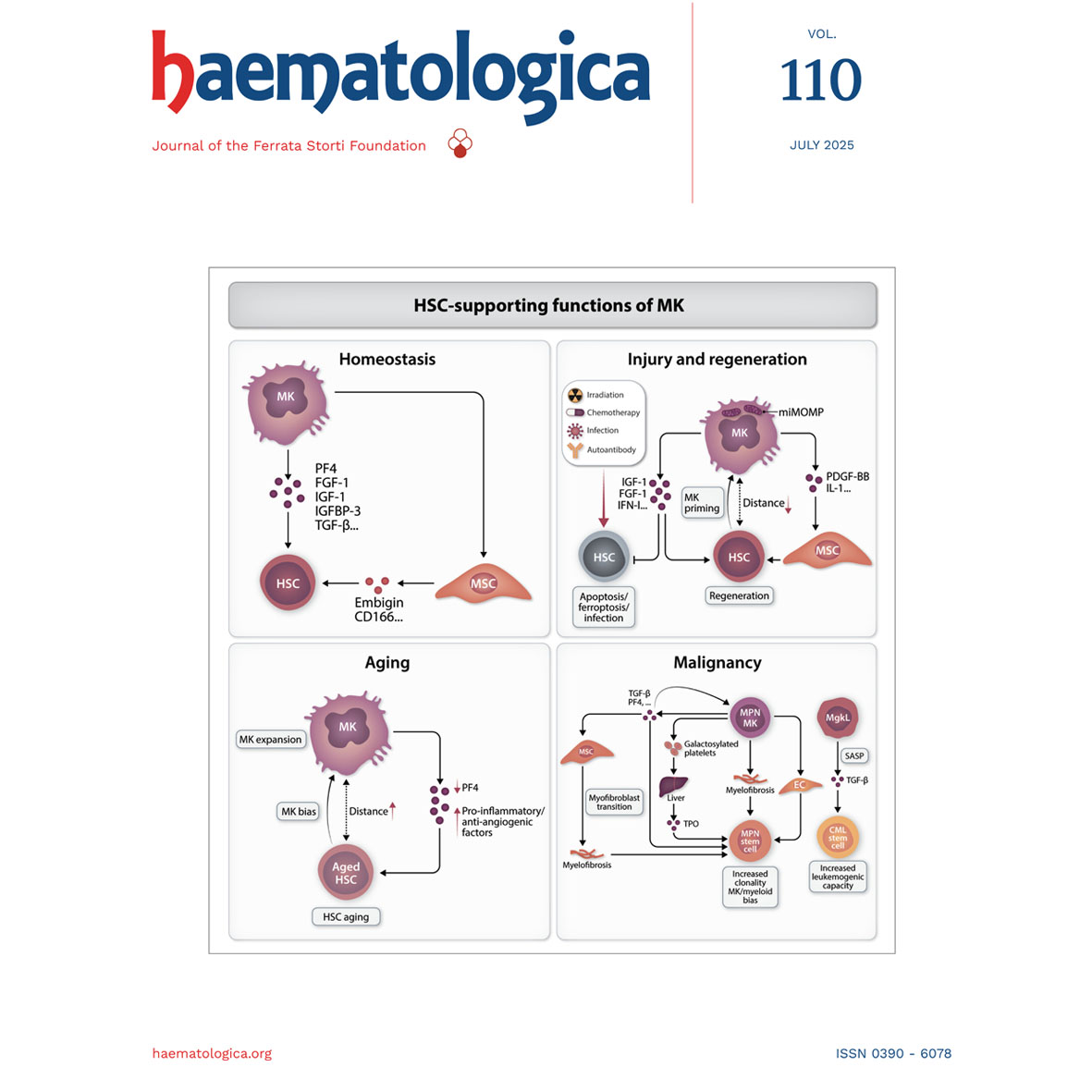 Haematologica's tweet image. Bispecific antibodies in diffuse large B-cell lymphoma: a new review.
haematologica.org/article/view/1…