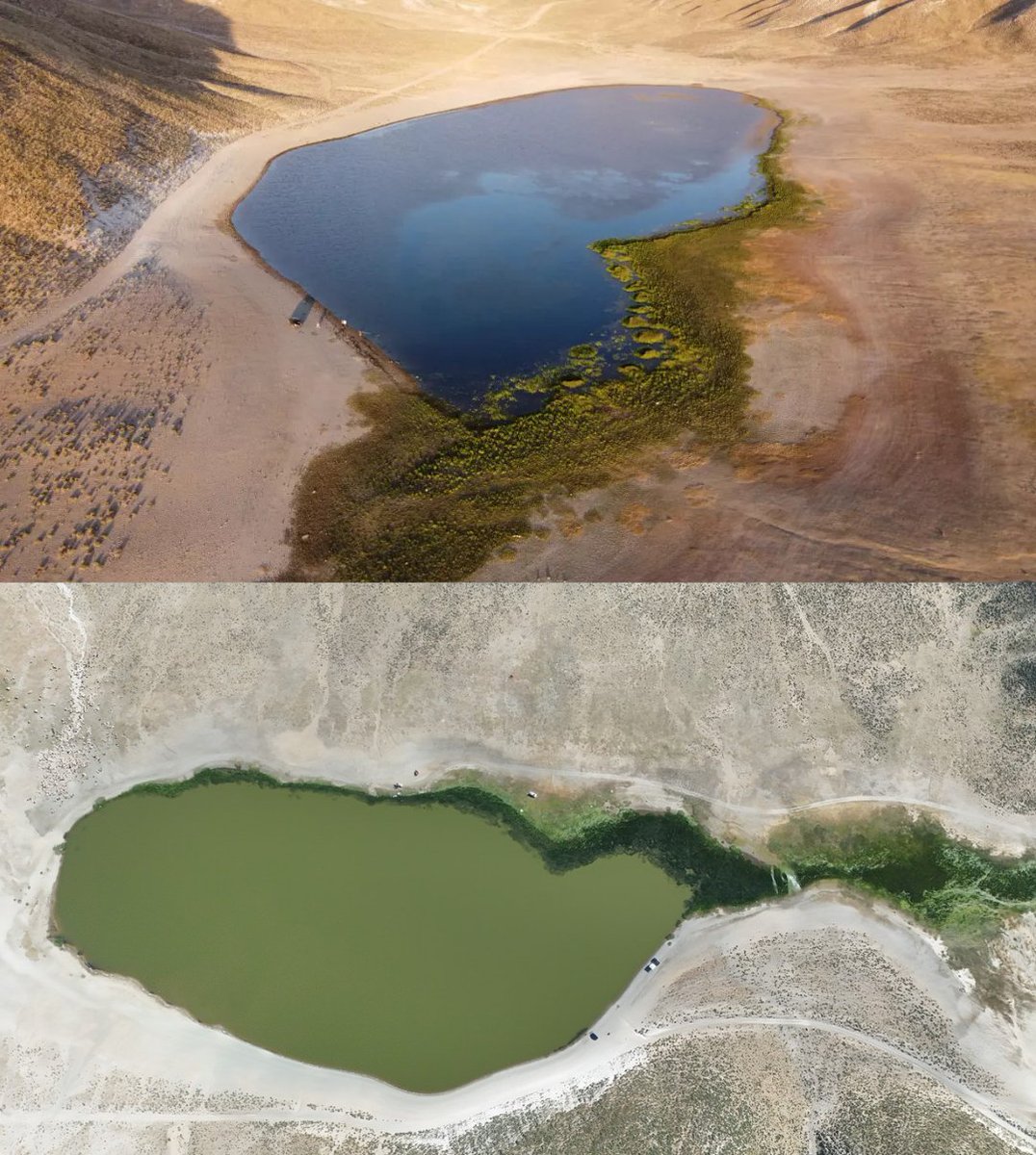 Bitlis'teki Kalp Gölü, kuraklık nedeniyle küçülerek dalak şeklini aldı.
