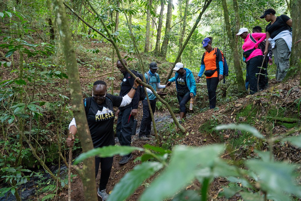 KILELE Health tweet media