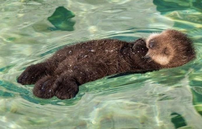 This is how July will be spent